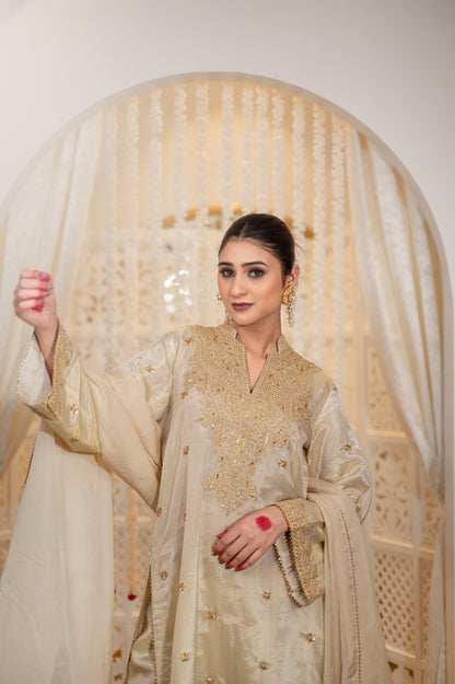 Off White Satin Tissue Kashmiri Gala Suit