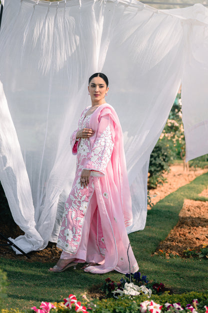 Light pink organza suit with aari embroidery