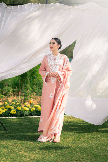 Pastel pink silk chanderi suit with aari embroidery